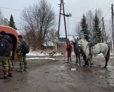 В Коми волонтеры «Лиза Алерт» развивают конное направление поисков