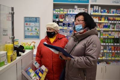 Депутаты Сыктывкара проверили аптеки на наличие лекарственных средств