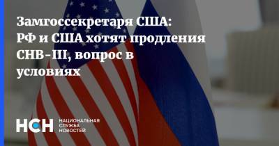 Замгоссекретаря США: РФ и США хотят продления СНВ-III, вопрос в условиях