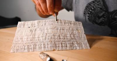 Найдено письмо, отправленное голубиной почтой 100 лет назад