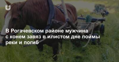 В Рогачевском районе мужчина с конем завяз в илистом дне поймы реки и погиб