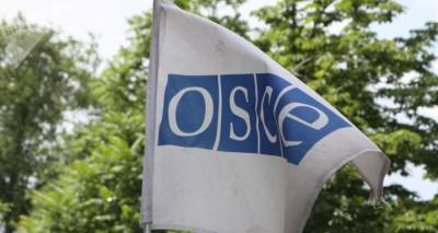 ОБСЕ призывает участников акции вести себя мирно