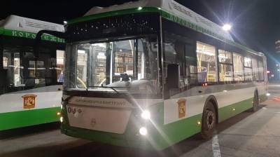 В Воронеж прибыли ещё 29 современных низкопольных автобусов