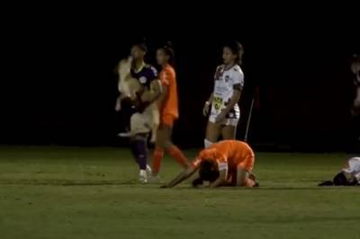 В Бразилии пес погнался за мячом во время матча и сбил с ног футболистку: видео
