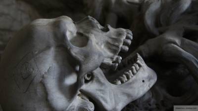 СК расследует дело об обнаружении останков людей времен ВОВ в Ленобласти