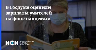 В Госдуме оценили зарплаты учителей на фоне пандемии