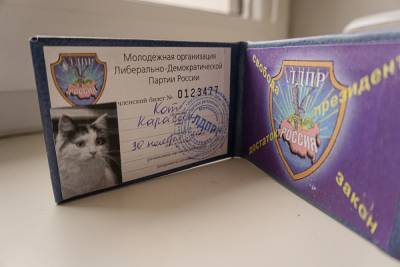 В Петербурге партийный билет ЛДПР выдали коту по кличке Карасик