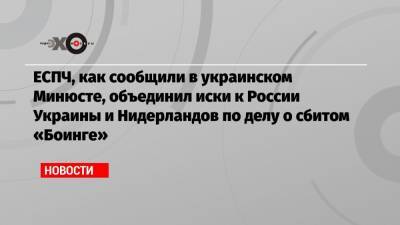 ЕСПЧ, как сообщили в украинском Минюсте, объединил иски к России Украины и Нидерландов по делу о сбитом «Боинге»