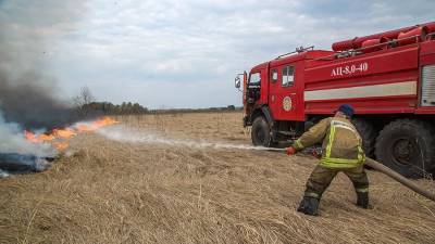 МЧС назвало районы Подмосковья с наибольшем числом пожаров в 2020 году