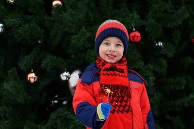 Придет ли Дед мороз на утренники к детям рассказали в Новосибирске