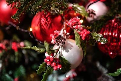 Оценена стоимость покупки и украшения новогодней елки