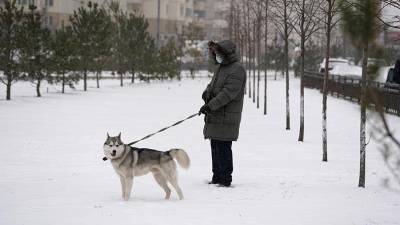 Синоптик рассказал о снежном покрове к Новому году в Москве
