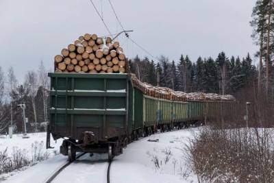 В Томской области раскрыт канал контрабанды леса в Китай