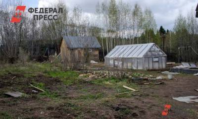 Муниципалитеты Красноярского края получат 10 млн рублей на электроснабжение СНТ