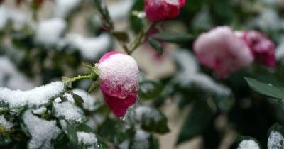 Прогноз погоды на 1 декабря: в Украину пришла непогода с мокрым снегом, дождем и порывистым ветром