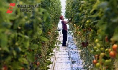 Сельхозпредприятия Тюменского района наращивают экспорт продукции