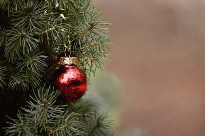 Подсчитано, сколько стоят елки и новогодние украшения в Петербурге в этом году