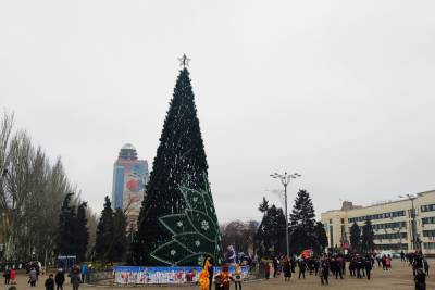 В Донецке приступили к сбору главной елки