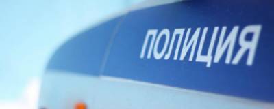 В Клепиковском районе Рязани полицейским удалось раскрыть поджог двух машин