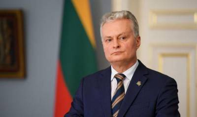 Налоговые изменения должны вступить в силу через полгода – президент Литвы