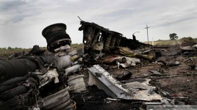 Украина рассчитывает получить доступ к материалам по катастрофе MH17