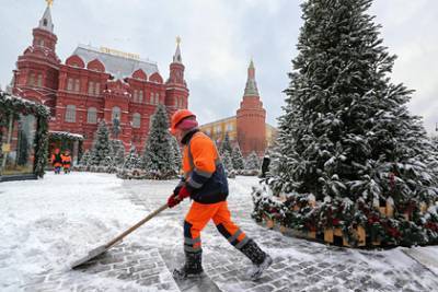 Синоптики предсказали «скандинавскую» зиму в Москве