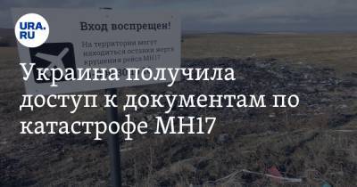 Украина получила доступ к документам по катастрофе MH17