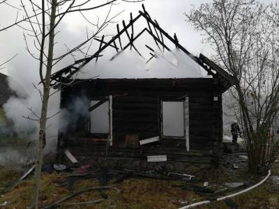В деревне возле Ивья на пожаре погиб 50-летний мужчина