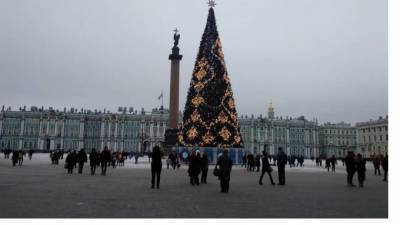 Главную новогоднюю ёлку с Дворцовой площади могут пустить на сувениры