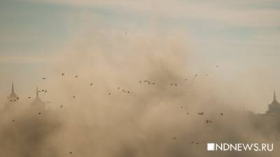 В Свердловской области объявили первую степень опасности по загрязнению воздуха