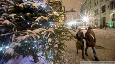 Москвичам пообещали снежный покров к Новому году