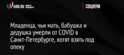 Младенца, чьи мать, бабушка и дедушка умерли от COVID в Санкт-Петербурге, хотят взять под опеку