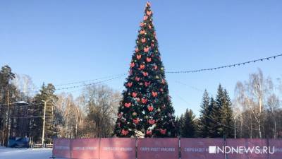 В главном парке Екатеринбурга нарядили новогоднюю елку (ФОТО)