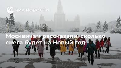 Москвичам рассказали, сколько снега будет на Новый год