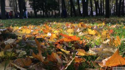 Осень в Петербурге побила температурный рекорд за 86 лет