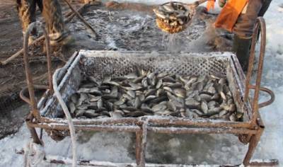 Держекоінспекція нарахувала 155 тисяч гривень збитків браконьєрам, які здійснювали вилов риби в заказнику на Черкащині