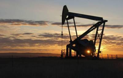 Несколько стран ОПЕК+ выступили за постепенное увеличение добычи нефти с января