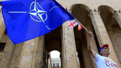 Шаг к НАТО без Украины: Грузия может получить План действий по членству в Альянсе