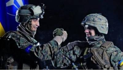 Дмитрий Снегирёв: вопрос вступления в НАТО снова на повестке дня