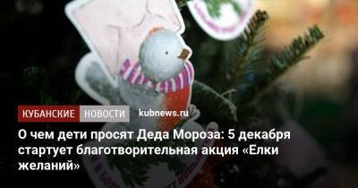 О чем дети просят Деда Мороза: 5 декабря стартует благотворительная акция «Елки желаний»