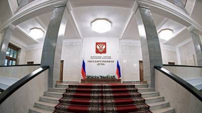 Эрнест Валеев - В ГД оценили идею внести изменения в закон о праве на приобретение оружия - russian.rt.com