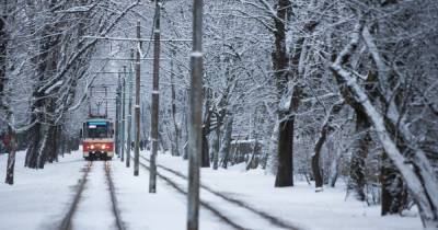 Синоптик рассказала, какой в Калининграде будет первая половина зимы