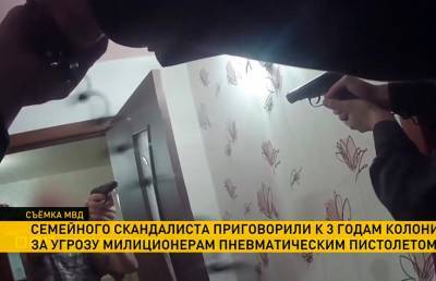 Жителя Солигорска, угрожавшего милиционерам пневматическим пистолетом, приговорили к тюремному сроку