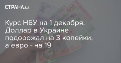 Курс НБУ на 1 декабря. Доллар в Украине подорожал на 3 копейки, а евро - на 19