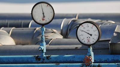 В Совфеде оценили отказ Санду признавать долг за газ перед Россией