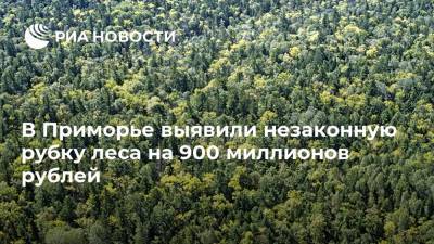 В Приморье выявили незаконную рубку леса на 900 миллионов рублей