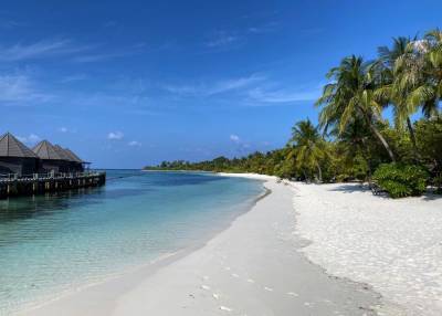 Туроператоры раскрыли стоимость новогоднего отдыха на Мальдивах