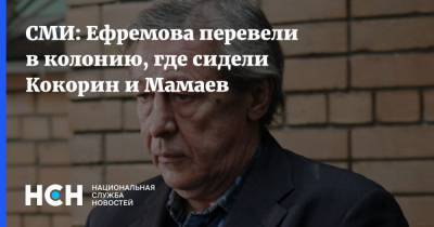 СМИ: Ефремова перевели в колонию, где сидели Кокорин и Мамаев
