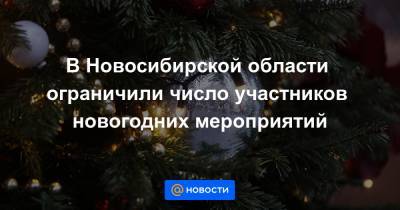 В Новосибирской области ограничили число участников новогодних мероприятий