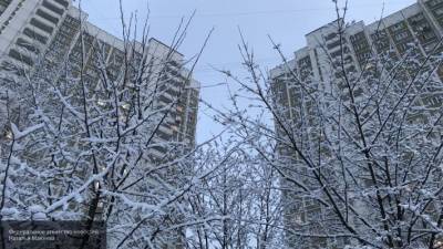 Синоптики рассказали, какая погода ждет жителей Воронежа в декабре